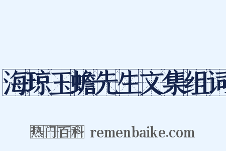 海琼玉蟾先生文集组词是什么意思的图片